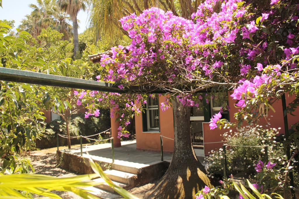 Le Palme Garden Villa San Giorgio  Buitenkant foto